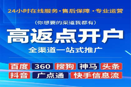 SEM实战案例：案例分析广告效果评估